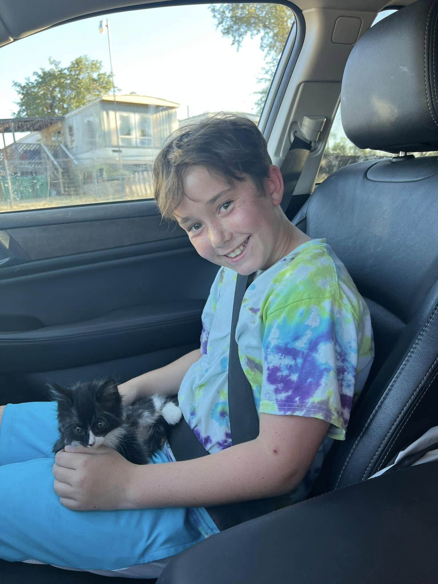 Young boy holds kitten he just adopted in a car.