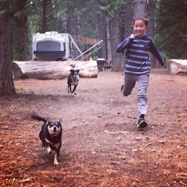 Young boy running through forest with two dogs.