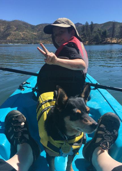 Young boy and dog in kayak